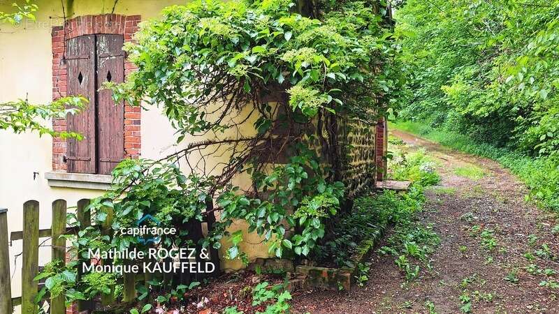 Grande demeure de charme + gîte + grand terrain - Tours-sur-Meymont - photo 14