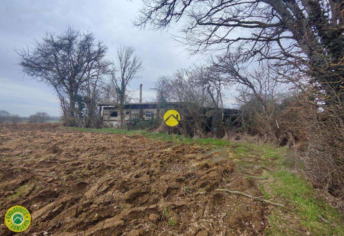 Terrain à MENETOU-COUTURE