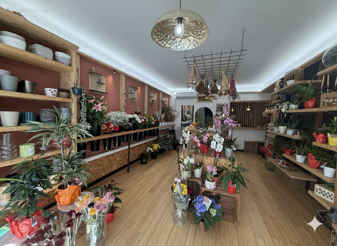 Commerce à GRUISSAN