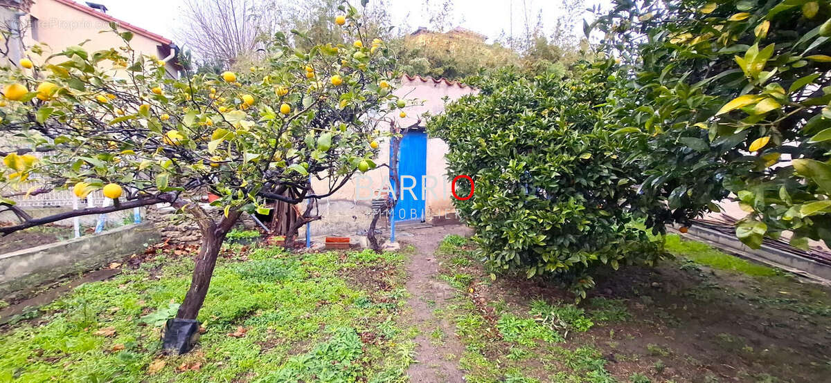 Maison à BANYULS-SUR-MER