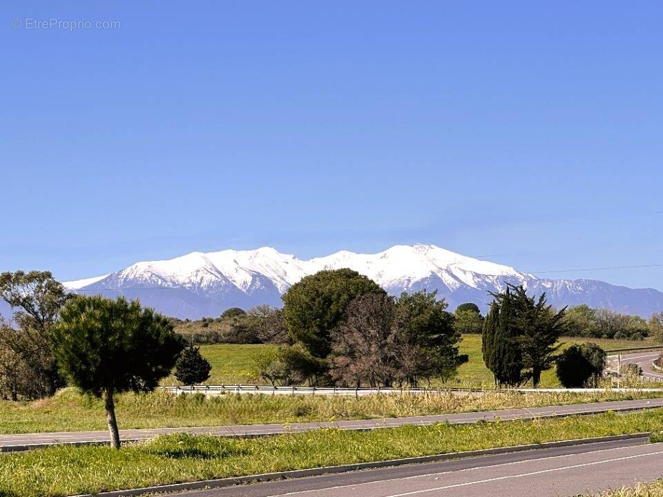 Terrain à PERPIGNAN