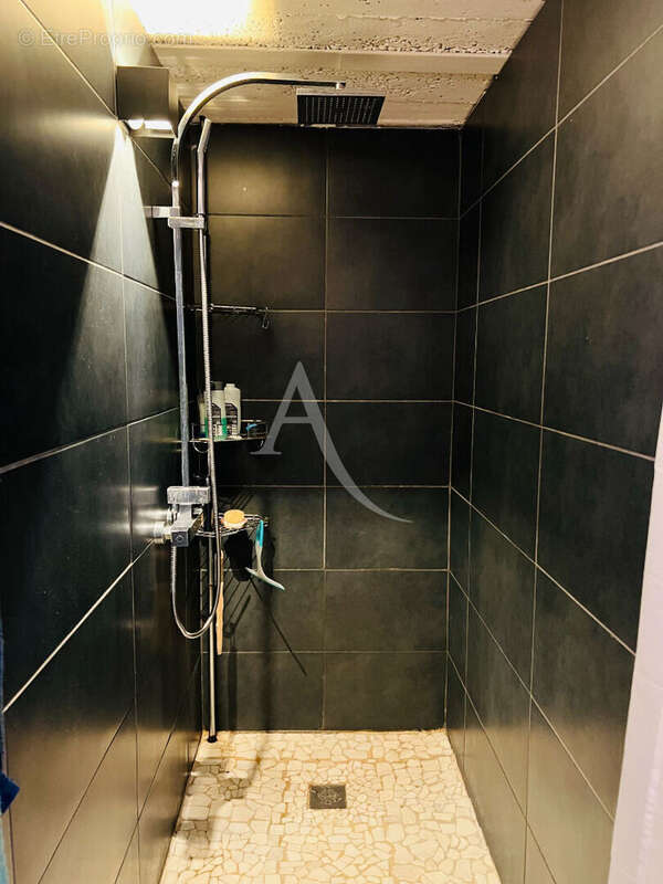 Appartement à BISCHHEIM