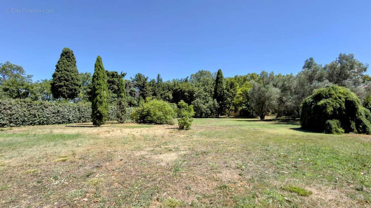 Maison 463 m² à Canohes  - photo 13