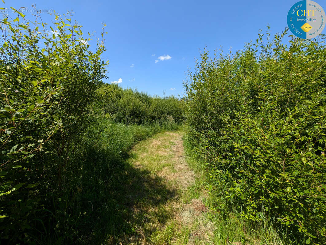 Terrain à BEIGNON
