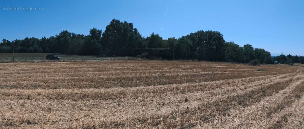 A vendre - Roybon (38940) – 3 parcelles de terrain agricole - photo 7