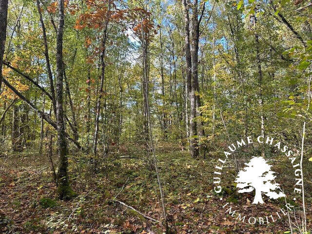 Terrain à ALLOGNY