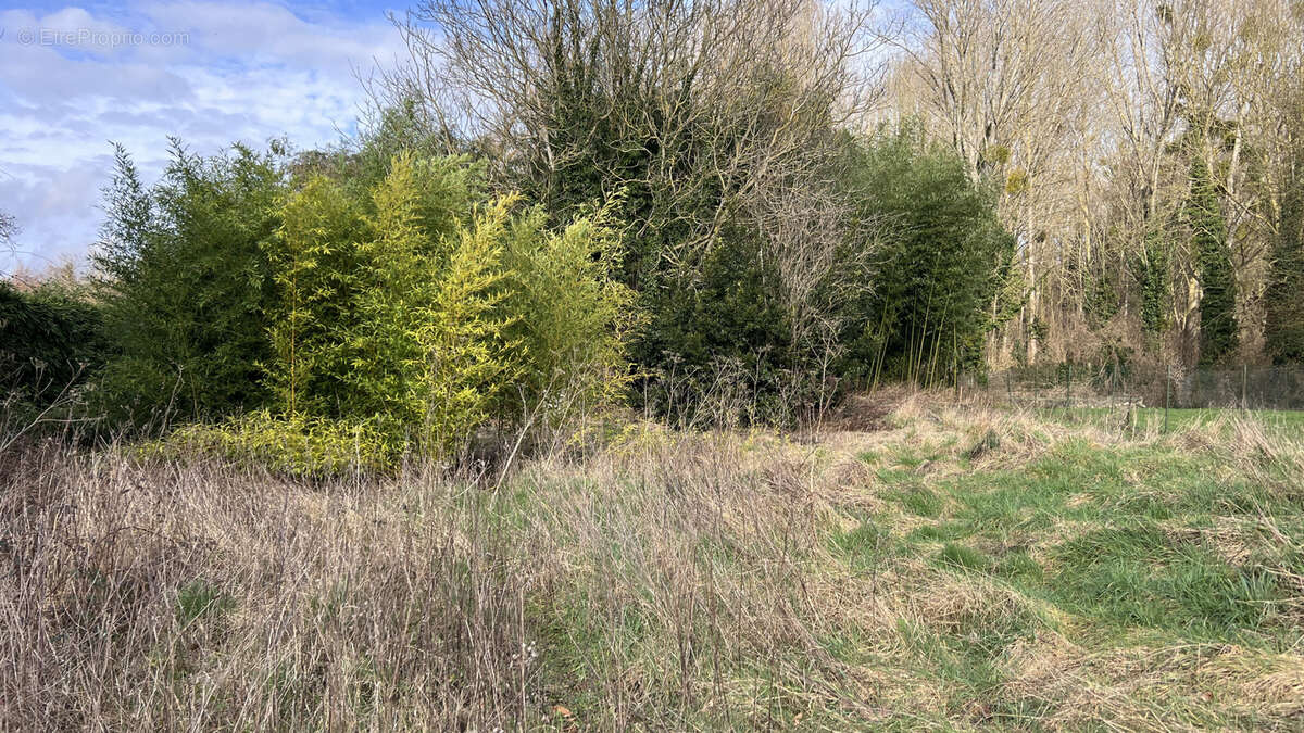 Terrain à VAYRES-SUR-ESSONNE