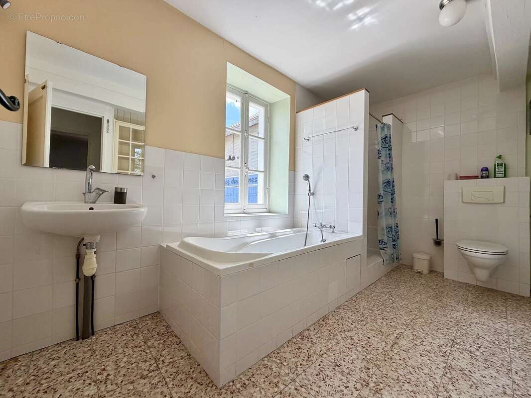 Grand ensemble, entièrement isolé avec 1,4 hectare à vendre près de Remilly - photo 41