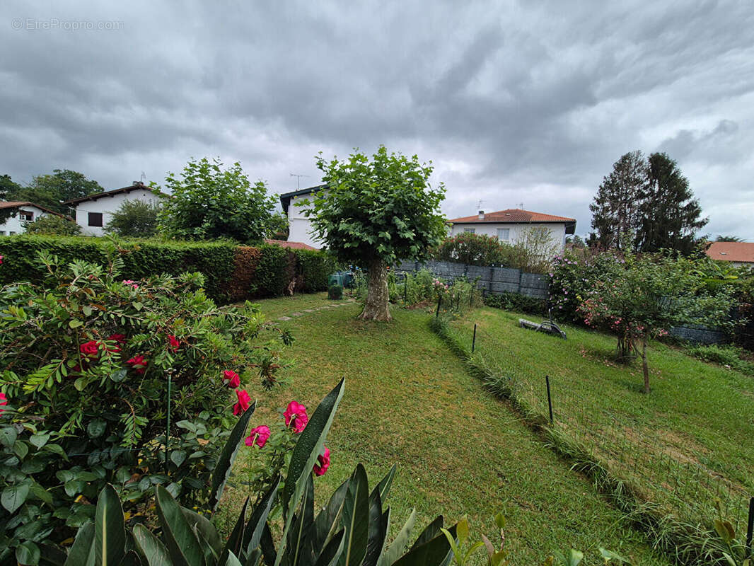 Appartement à CIBOURE
