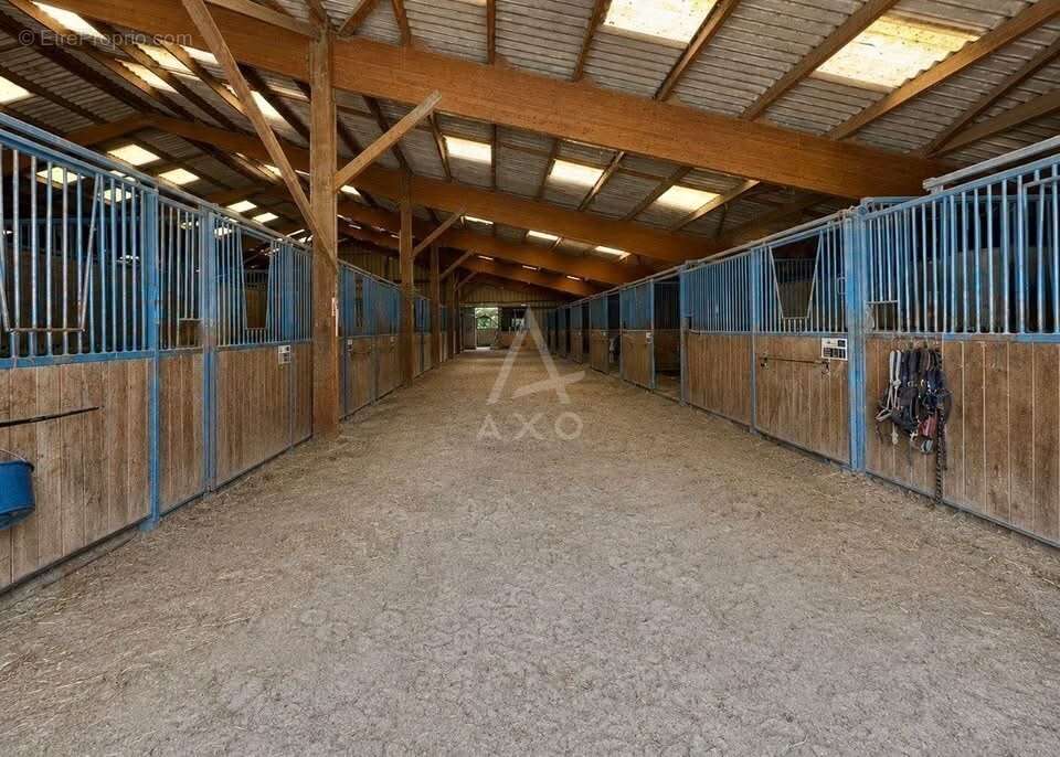 Haras d'entraînement  28 hectares d'un seul tenant à 10 km de Caen - photo 2