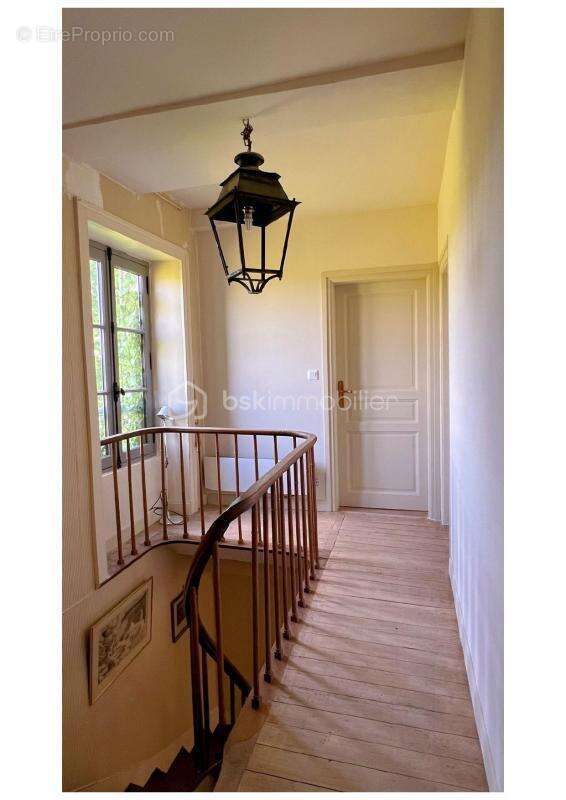 Propriété et Bois - photo 4
