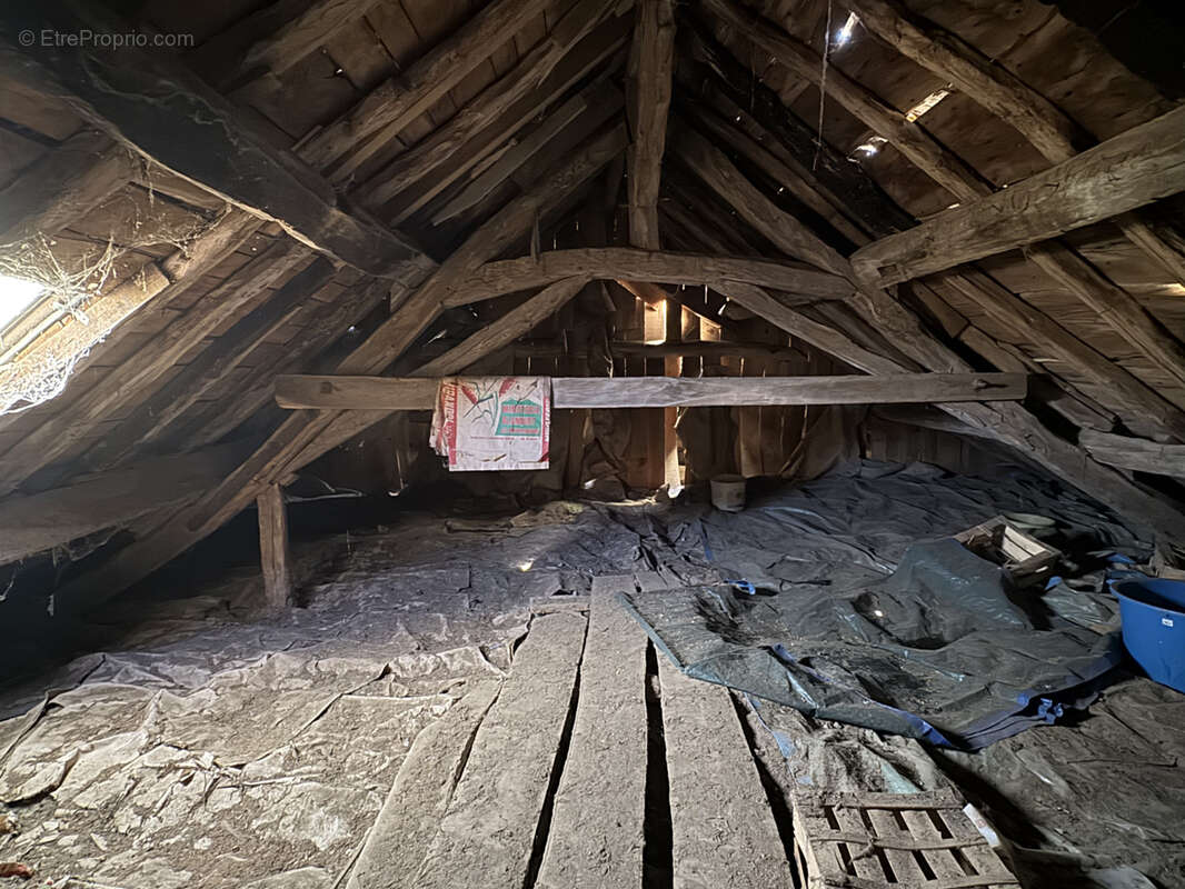 Maison à PAMPELONNE