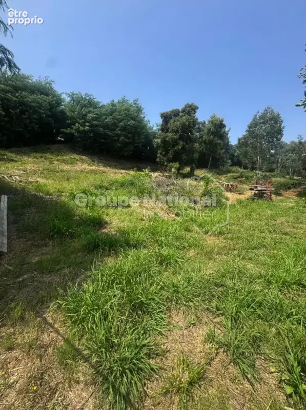 Villa  7 pièces 160 m2 , Pégomas - photo 2