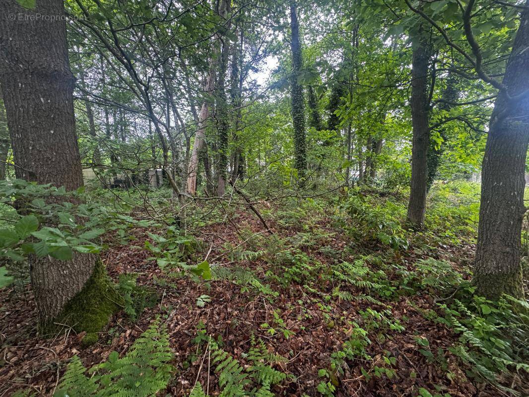 Terrain à LOUVERSEY