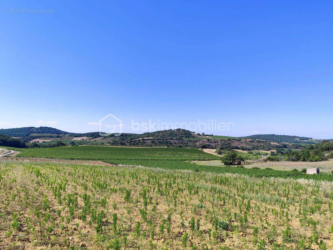 Terrain constructible 1 600 m² + 8 575 m² de terrain naturel – Proche Limoux - photo 2