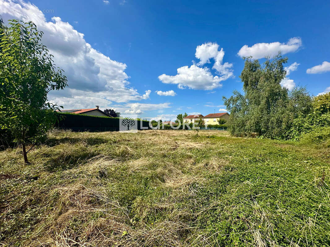 Terrain à SAINT-CYR-SUR-MENTHON