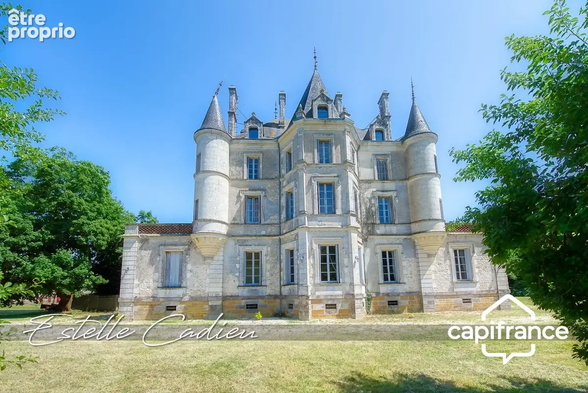 Propriété d’exception  – Château XIXe à CHANTONNAY (85) - photo 4