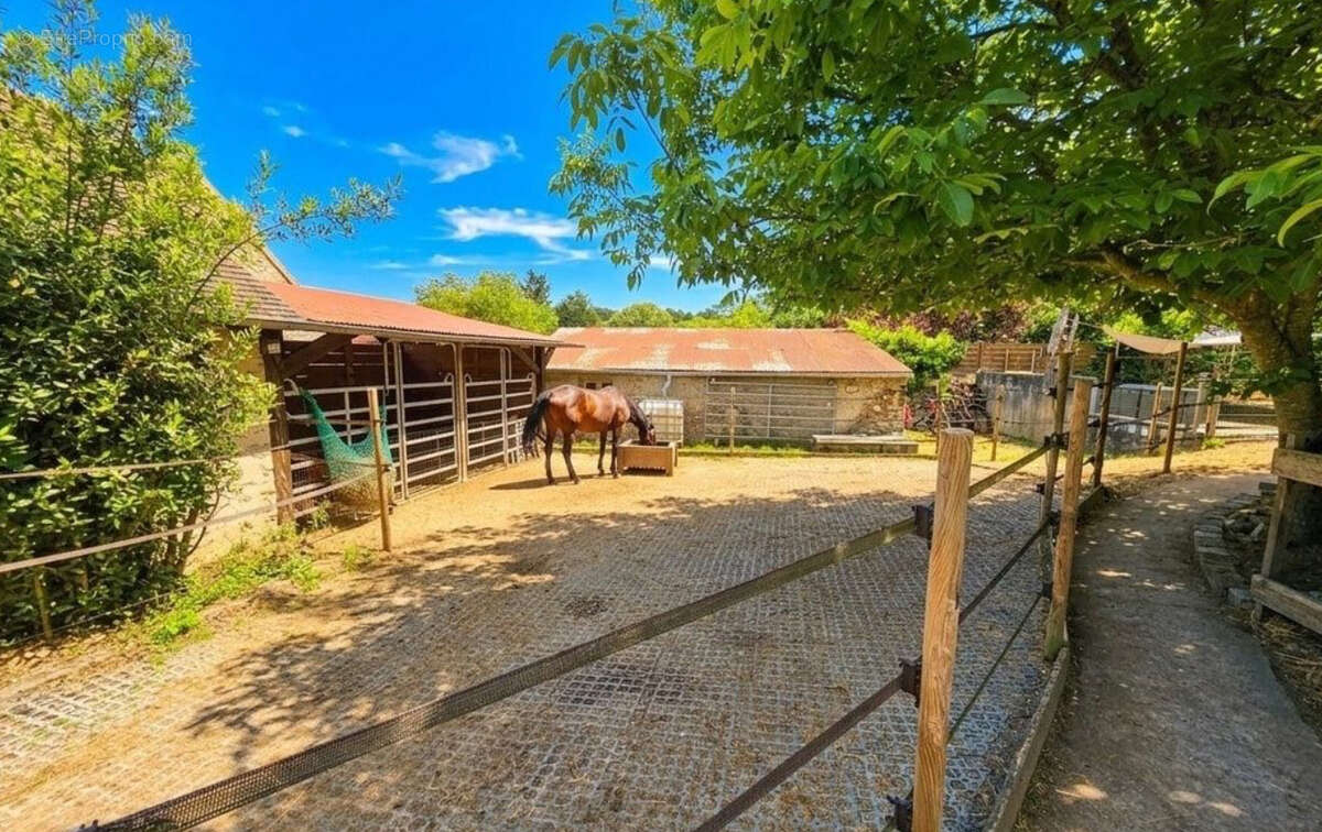 Nouveaute maison de caractere avec installations equestres - photo 3