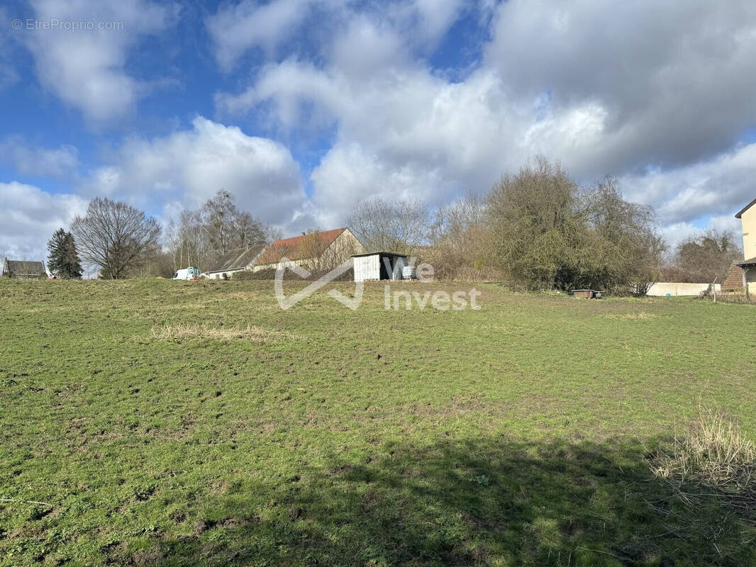 Terrain à VILLERS-COTTERETS