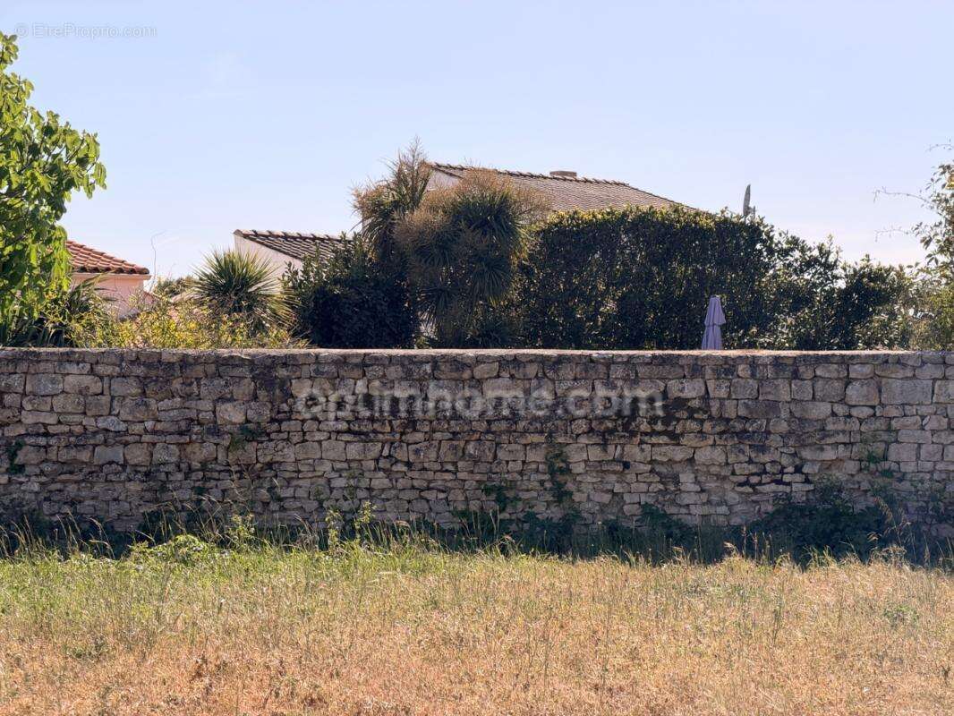 Terrain Rare 300 m² - Belle Façade de plus de 10 m – Le Bois-Plage-en-Ré - photo 8