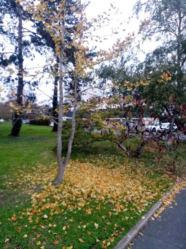 Appartement à ANGERS
