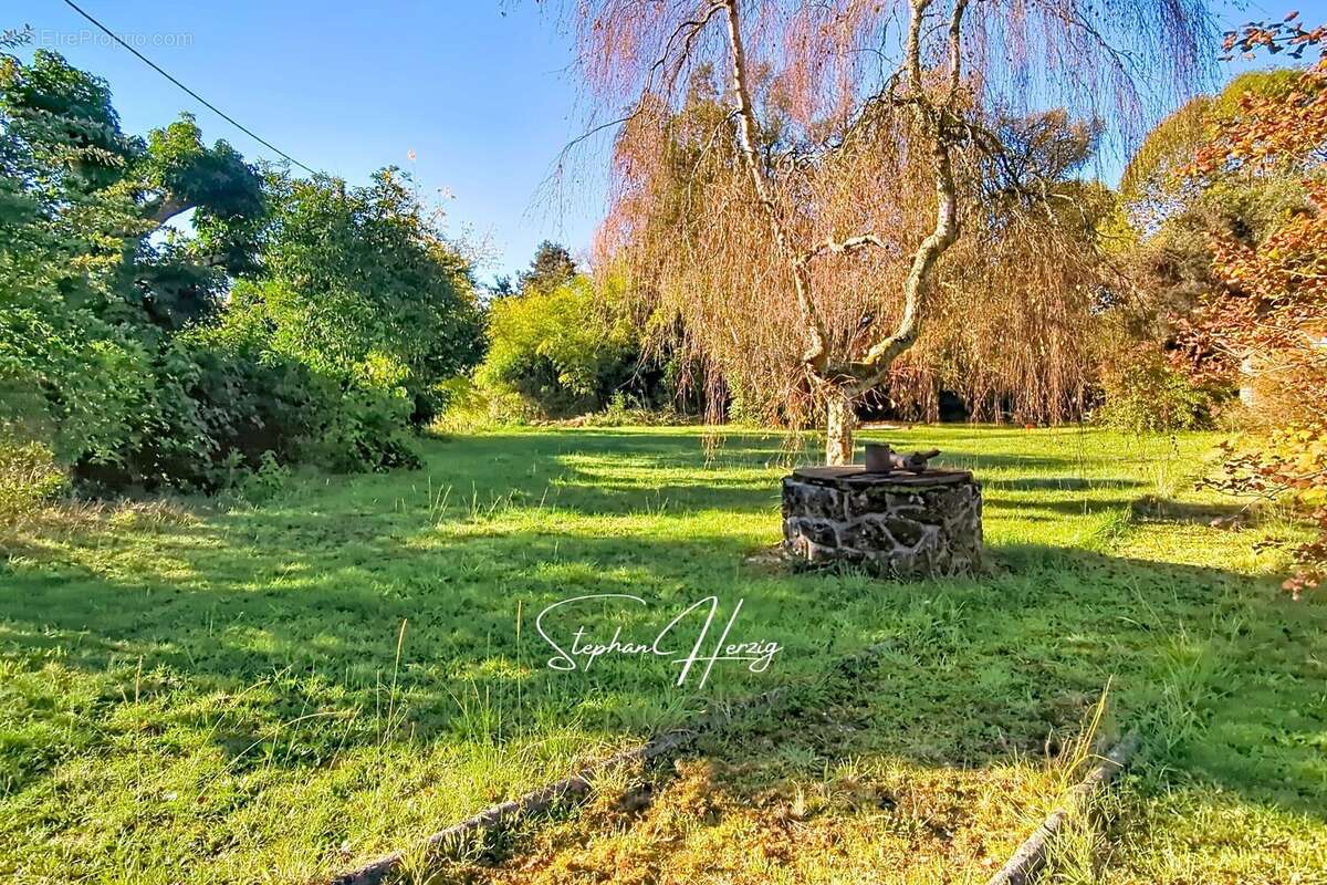 Terrain 899 m² à Salles  - photo 27