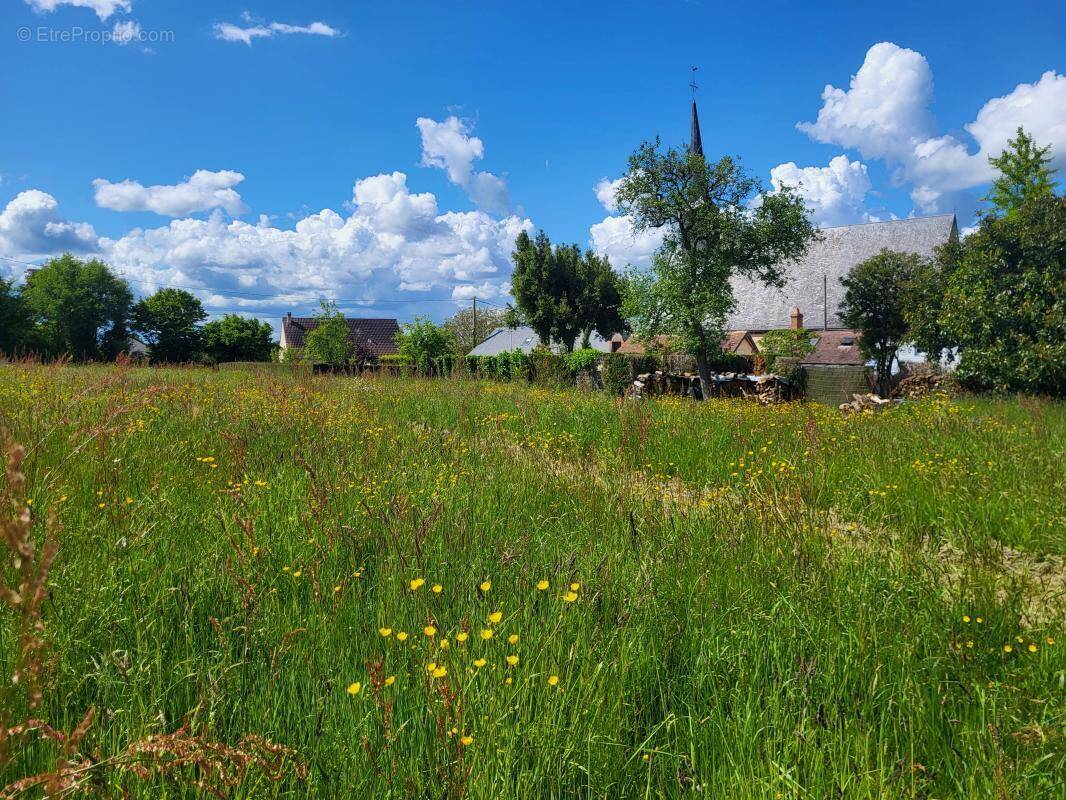 Terrain à SAINT-MARC-DU-COR