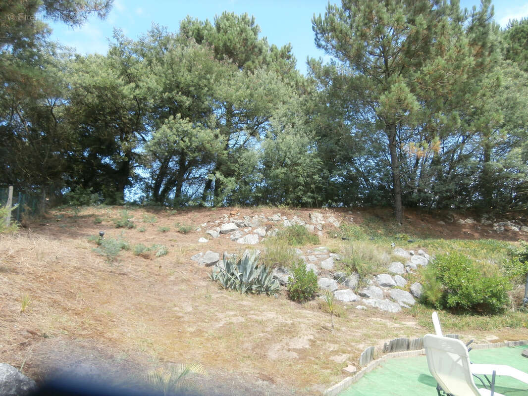 Maison T8 six chambres, piscine, grand garage, 1700m2 de terrain. - photo 5