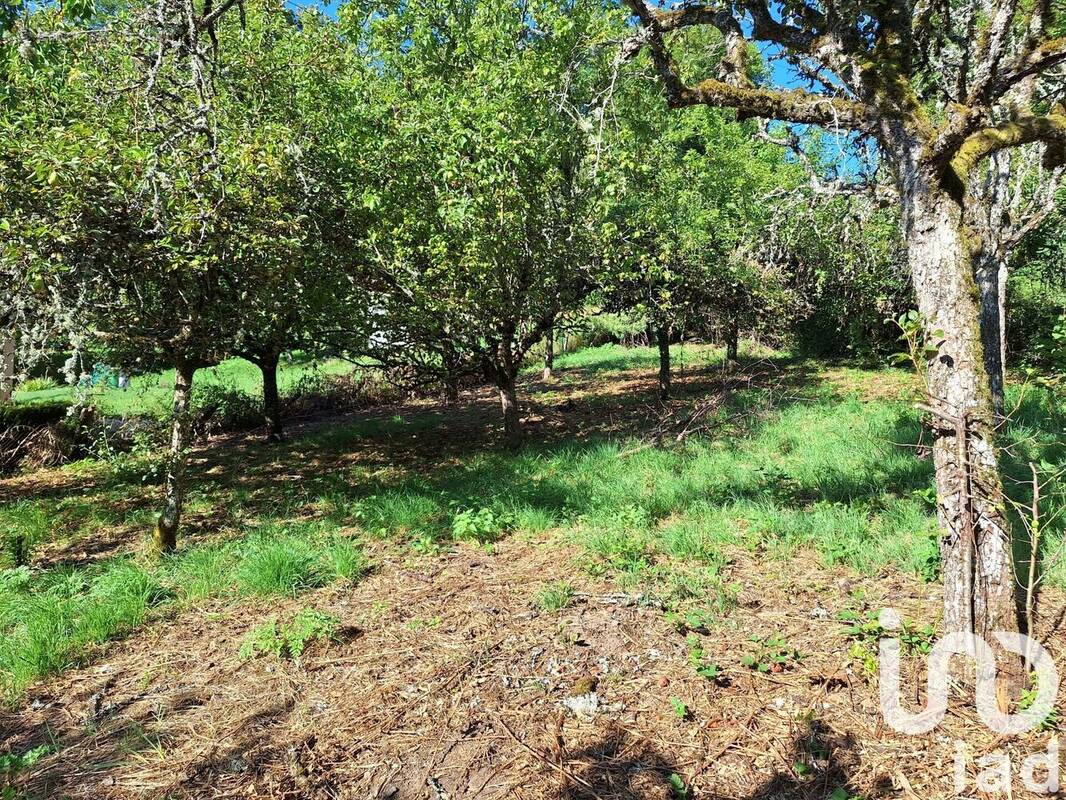 Photo 1 - Terrain à CRANDELLES