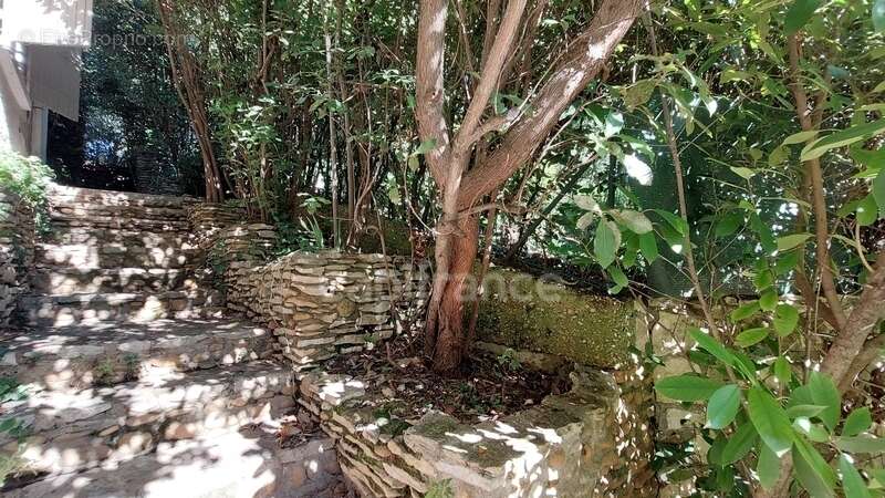 Maison à VILLENEUVE-LES-AVIGNON