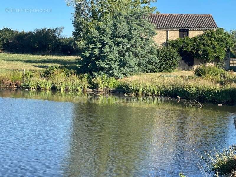 Maison  sur 8853 m2  avec étang, jardin plat et dépendances - photo 4