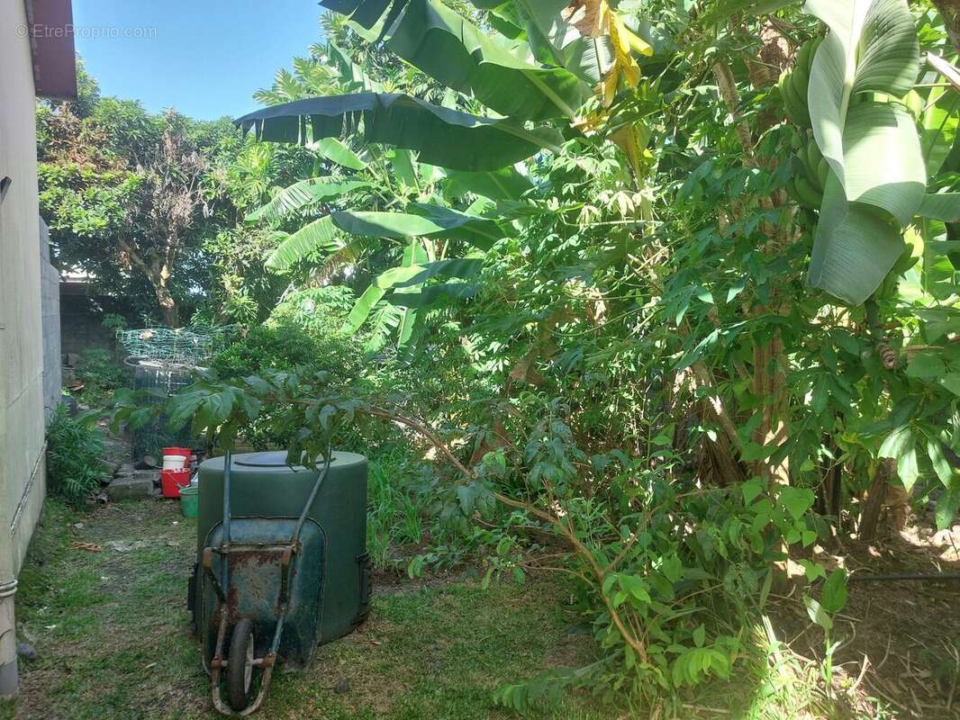 Maison à SAINT-ANDRE