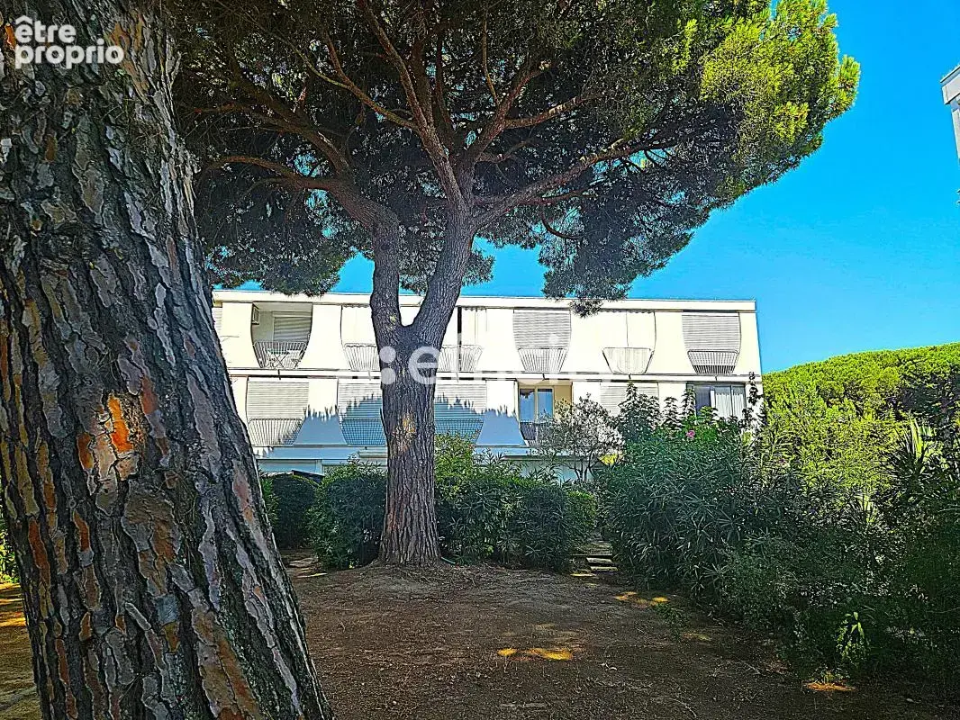 Appartement - photo 6