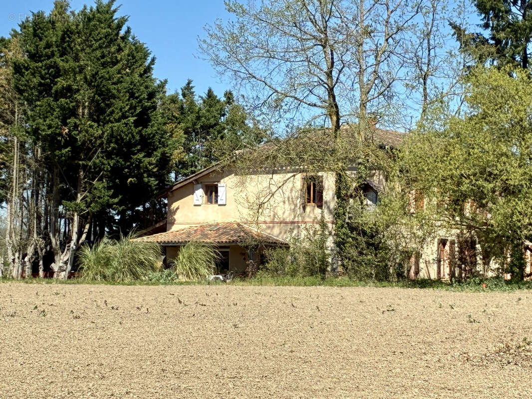 Maison à LISLE-SUR-TARN