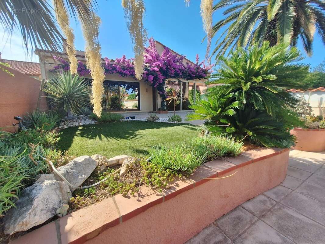 Maison à ARGELES-SUR-MER