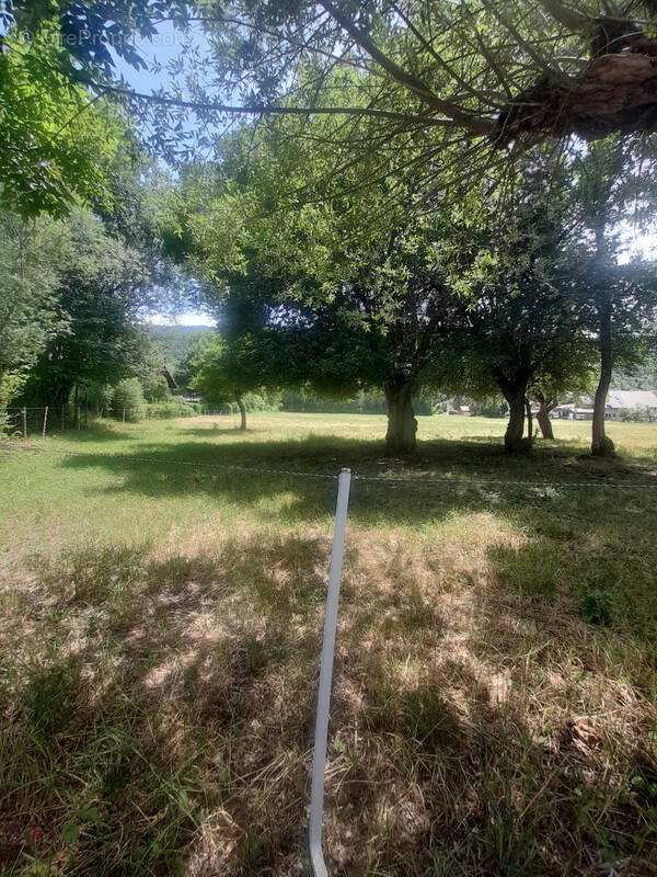 Terrain à CHABOTTES