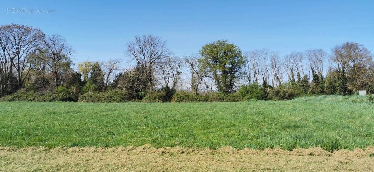 Terrain à VARENNES-SUR-ALLIER