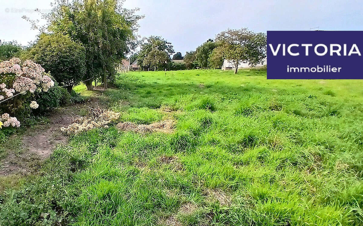 A vendre   terrain constructible de 1000m2 - belleville sur mer   petit caux - photo 5