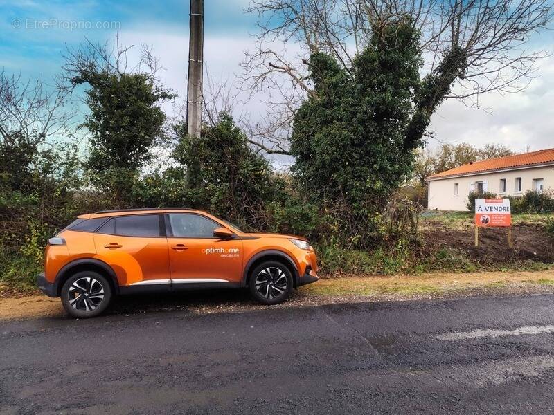 Terrain à GLAINE-MONTAIGUT