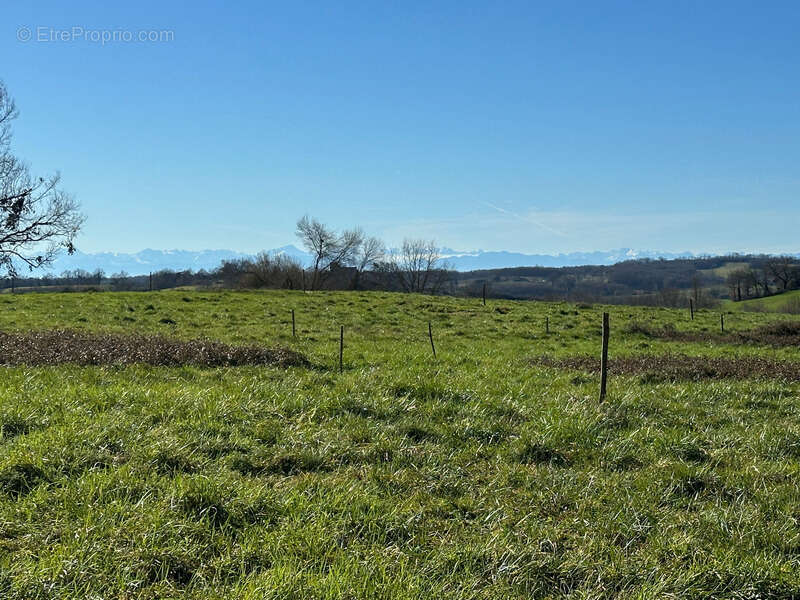 Dpt Gers (32), AIGNAN à vendre terrain de 4 400,00 m² - photo 7