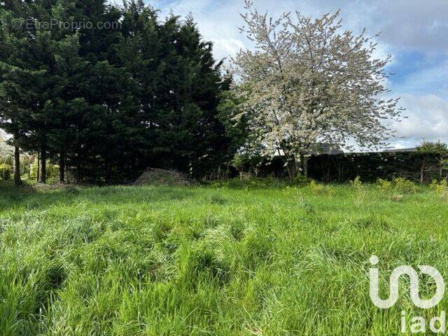 Photo 1 - Terrain à TIERCE