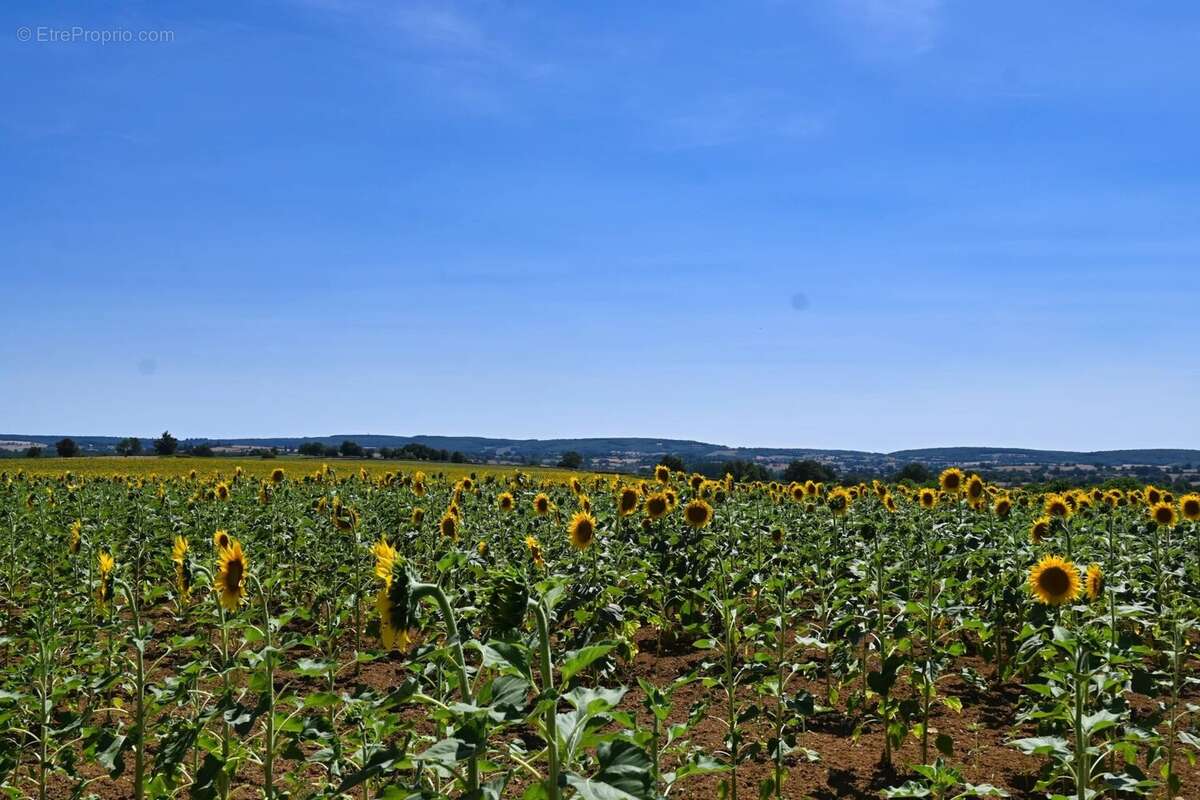 À vendre Aubigny : Projet de rénovation de rêve - photo 73