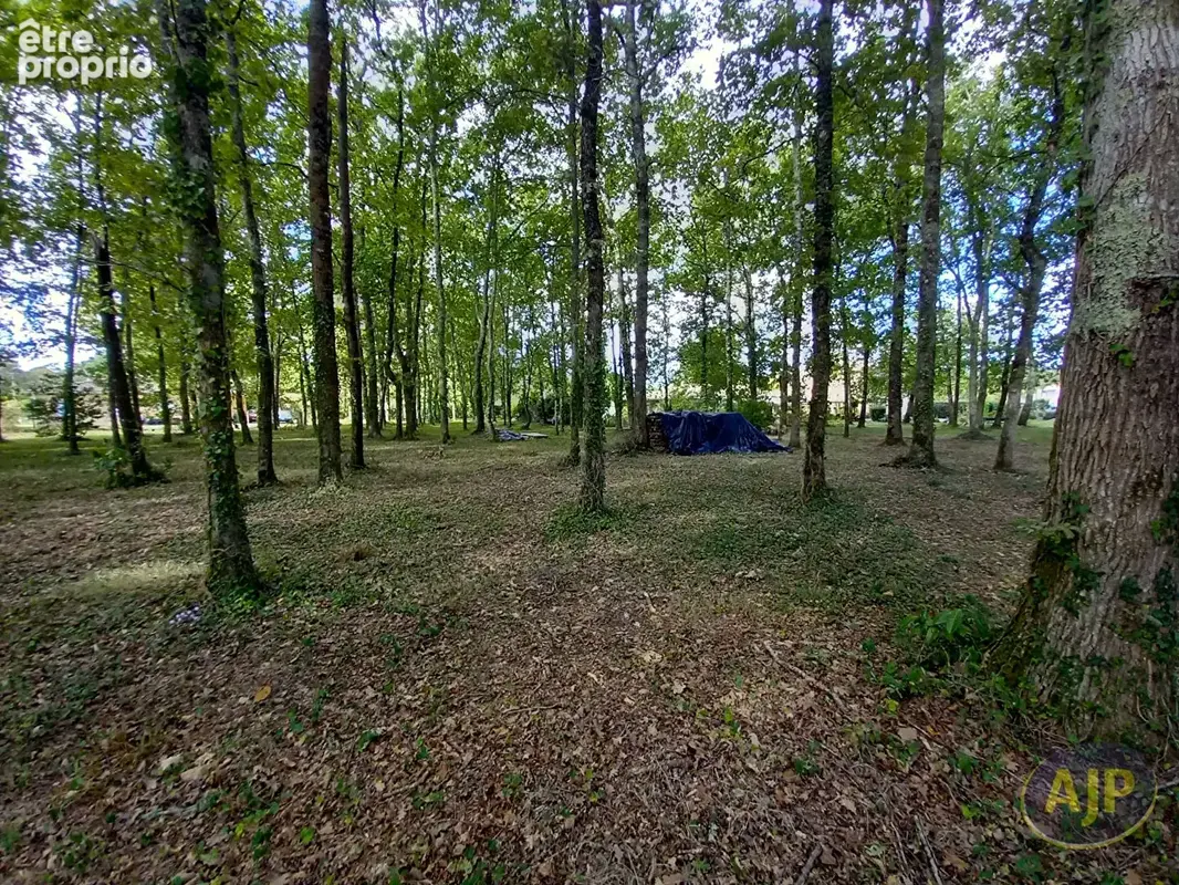 Terrain à bâtir de 933 m² à 5 min de Lesparre ! - photo 2