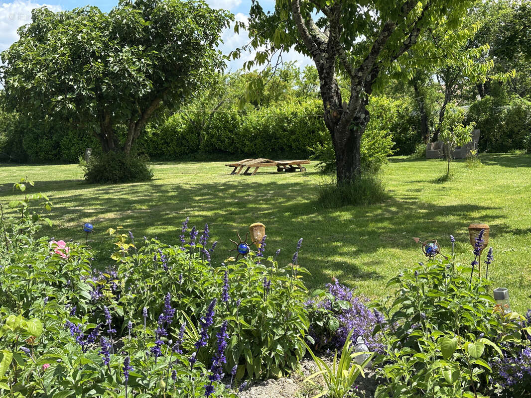 Maison à AUBETERRE-SUR-DRONNE