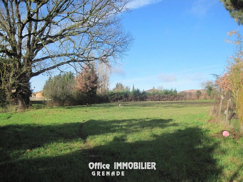 Terrain à LE BURGAUD