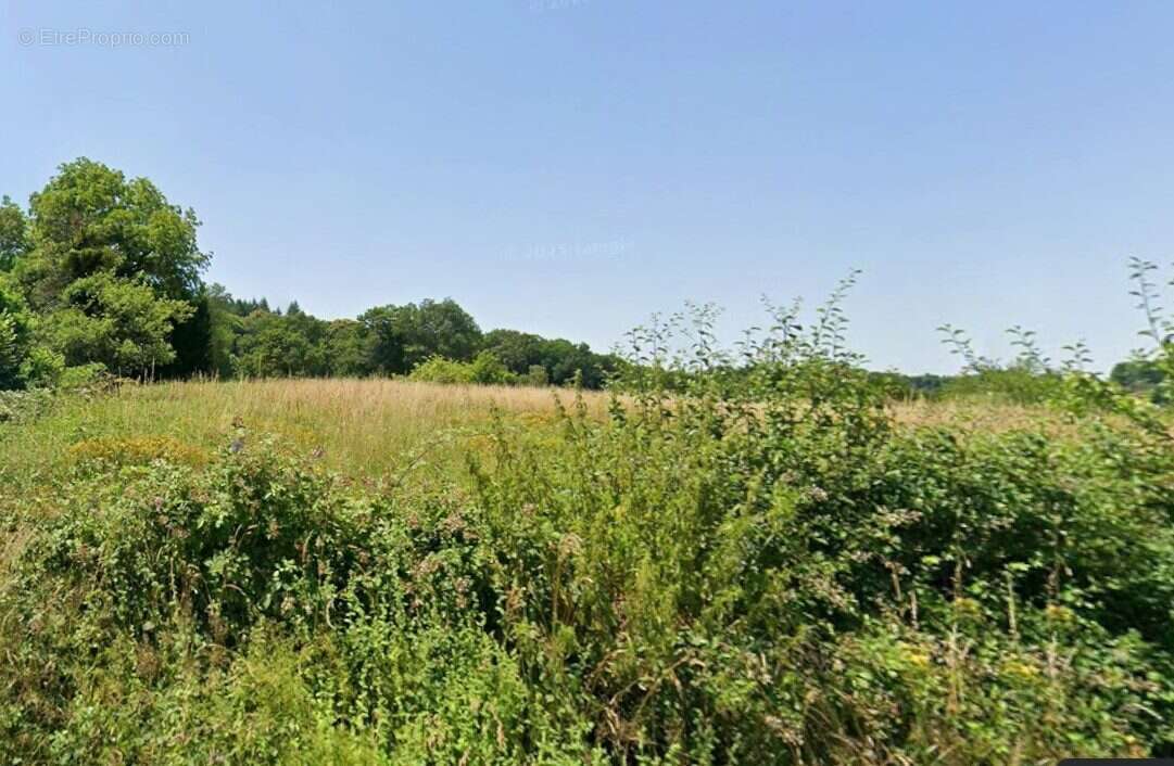 TERRAIN  - Maison à ROZIERS-SAINT-GEORGES
