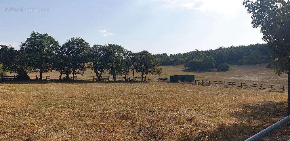 Maison à CORDES-SUR-CIEL