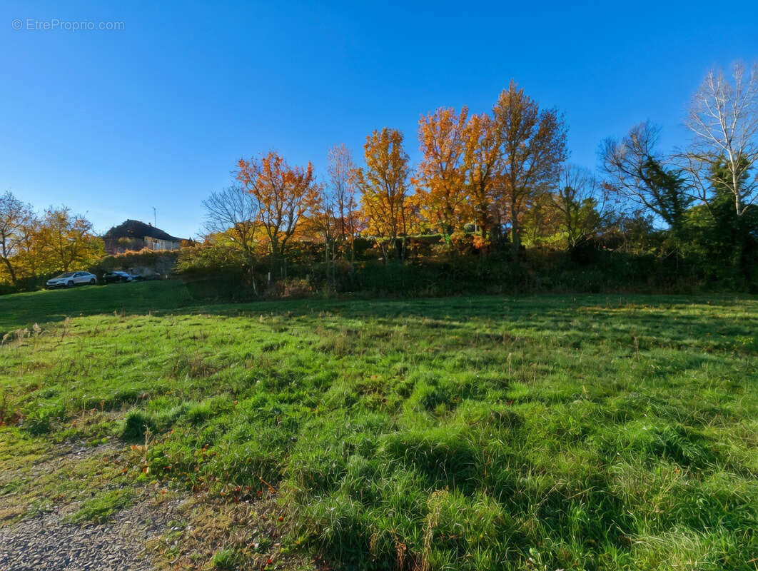 Terrain à ENTRECHAUX