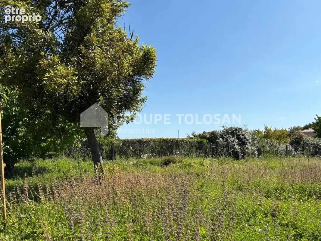 5 minutes sainte foy d'aigrefeuille  - maison sur terrain 472m2 - photo 2