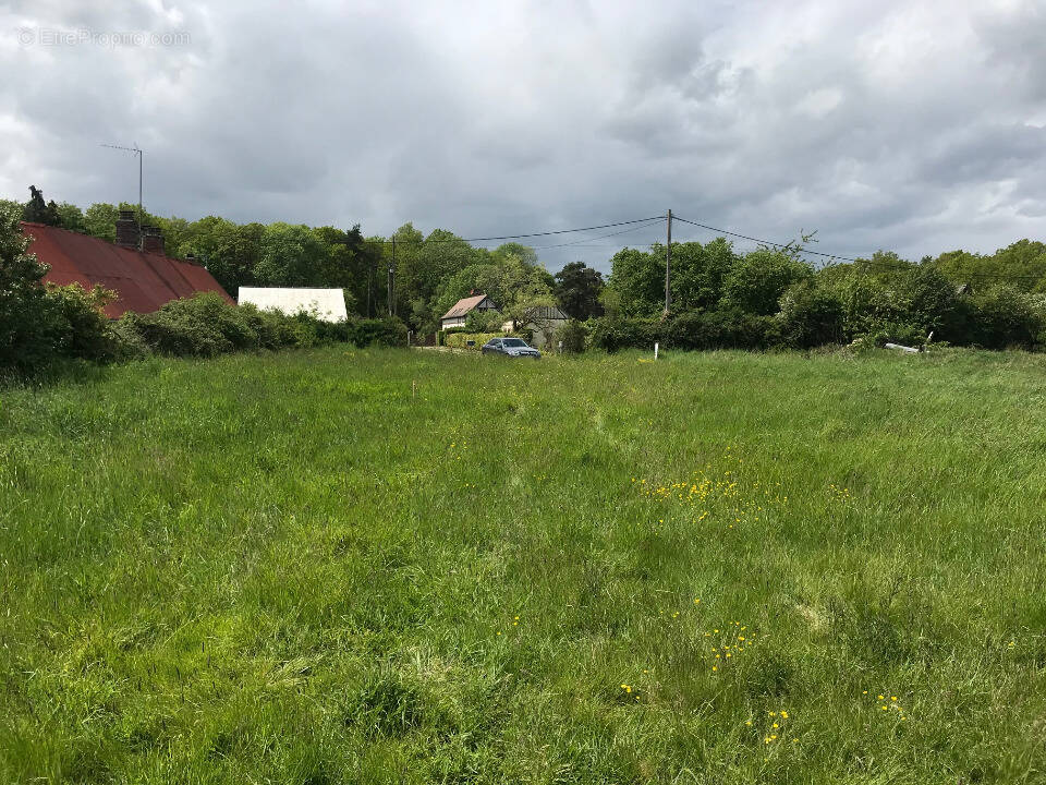 Terrain à LA SAUSSAYE